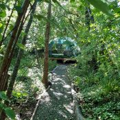 Chambres insolites en forêt du Domaine Jean Got : Peuplier argenté