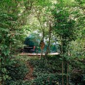 Erable Rouge : Chambres insolites en forêt du Domaine Jean Got