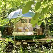 Frêne doré : Chambres insolites en forêt du Domaine Jean Got