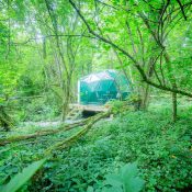 Chêne Emeraude : Chambres insolites en forêt du Domaine Jean Got