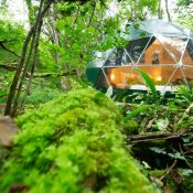 Chêne Emeraude : Chambres insolites en forêt du Domaine Jean Got